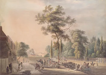 Le Vieux Cygne, Bayswater